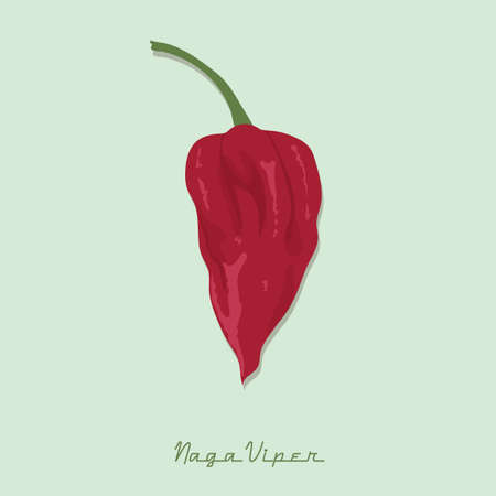 naga viper pepper