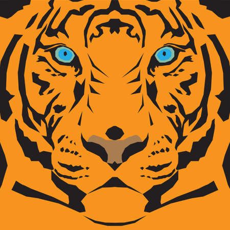 Close up of tiger's head