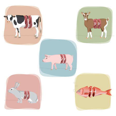 concept of fresh meat cut