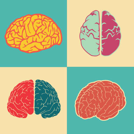 human brain set