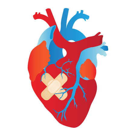 wounded human heart