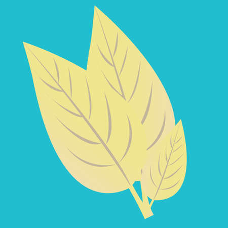 leaves