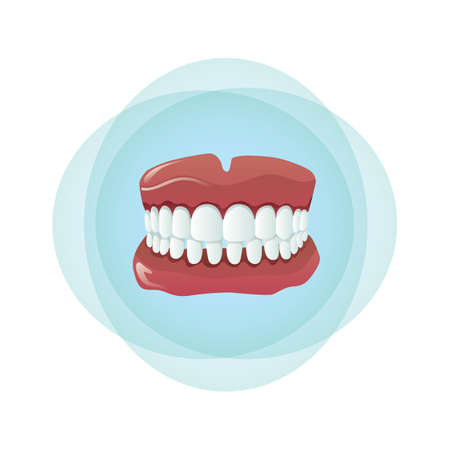 teeth
