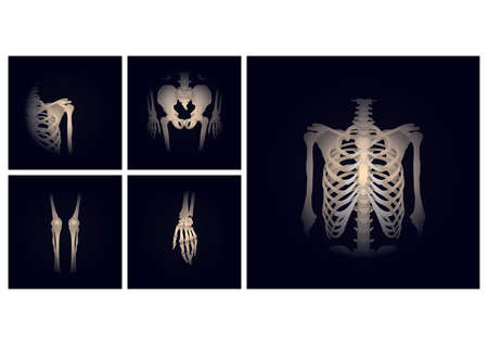 parts of skeleton
