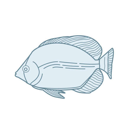 fish