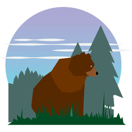 bear cartoon