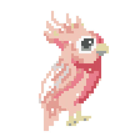cockatoo