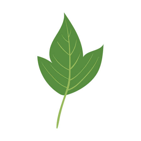 leaf icon