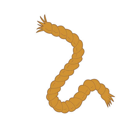 a rope