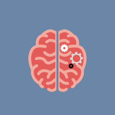 a brain