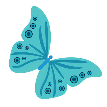 blue butterfly
