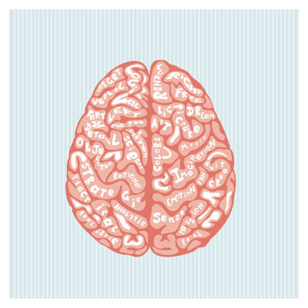 brain cartoon