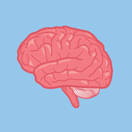 brain