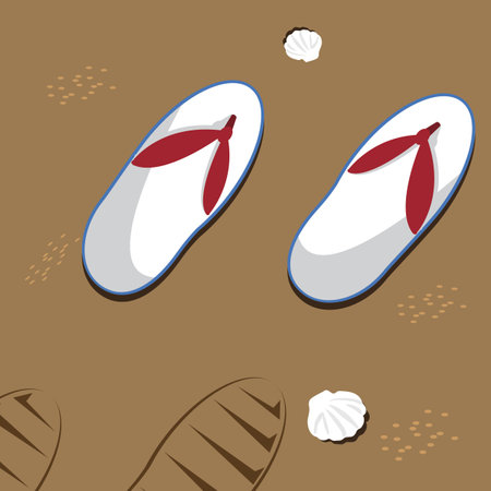 beach slippers