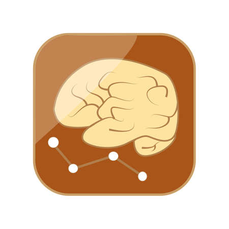 brain and a graph