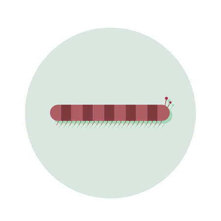 worm