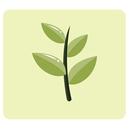 eco plant