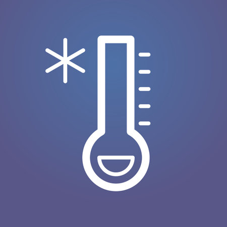 thermometer with snowflake