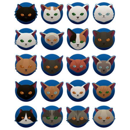 cat face icons