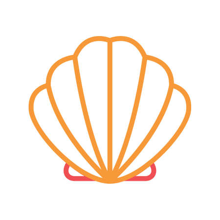 seashell