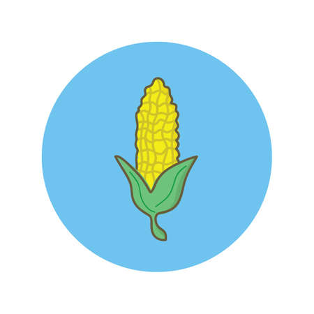 corn