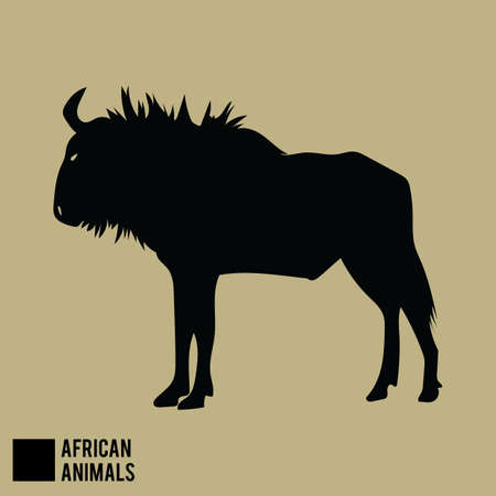 wildbeest
