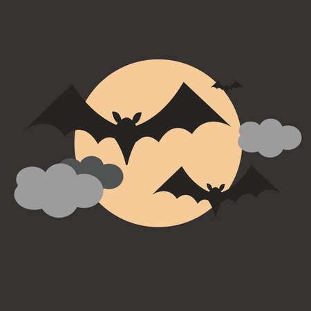bat flying