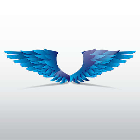 wings