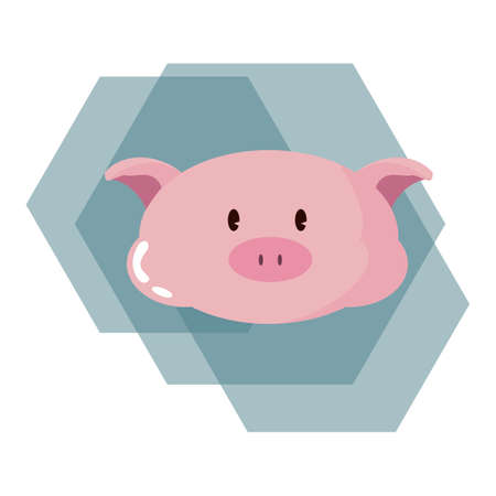 pig