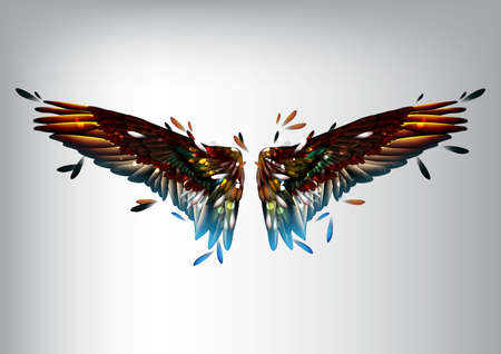 wings