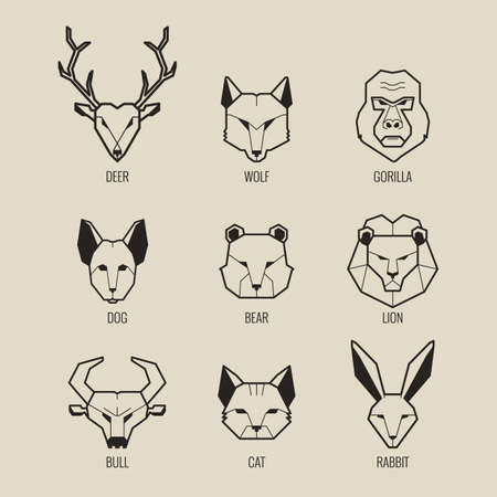 animals set