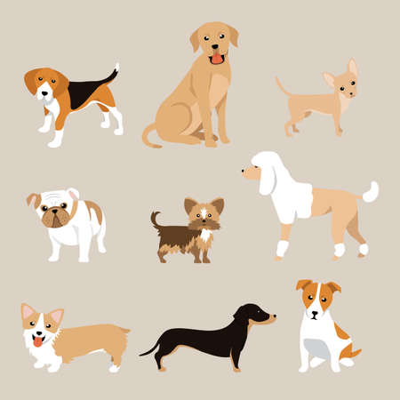 collection of dog breeds