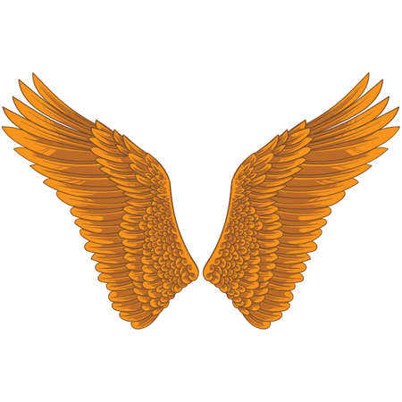 wings design