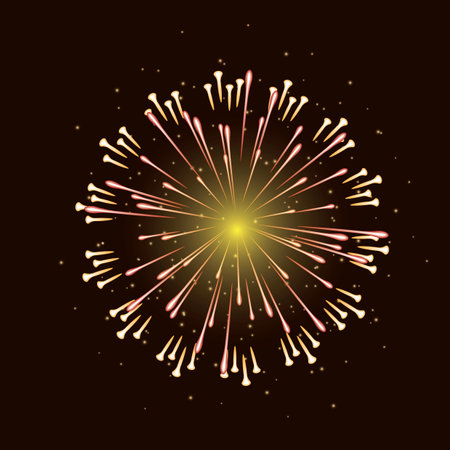 firework display in the night sky