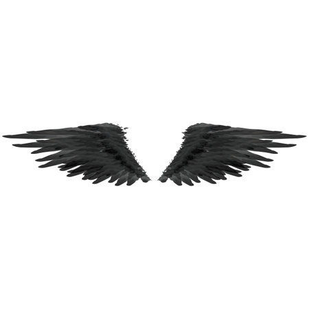wing design