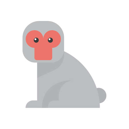 baby monkey