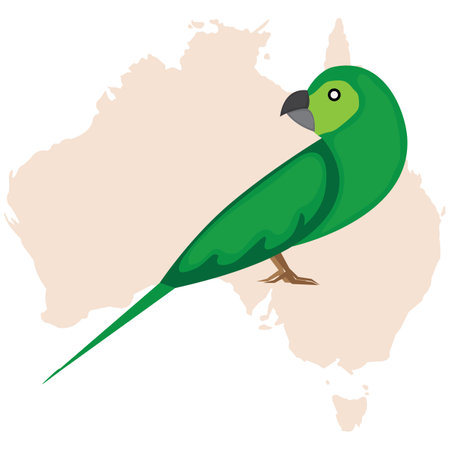 parrot with australia map