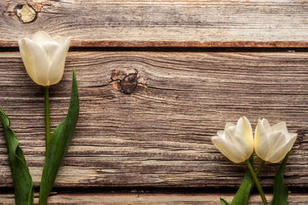 Bright spring bouquet of colorful tulips on wooden backgroundの写真素材