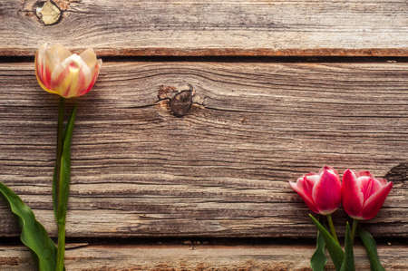 Bright spring bouquet of colorful tulips on wooden backgroundの写真素材