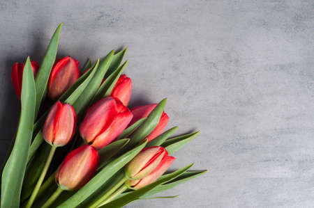 Bouquet of fresh red tulip flowers sitting on dark surface background with copy spaceの写真素材