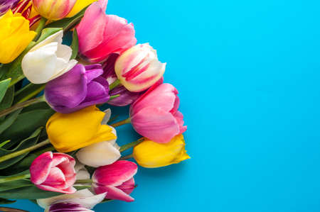 bright spring bouquet of multi-colored tulips on a blue backgroundの写真素材