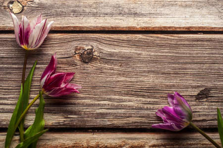 Bright spring bouquet of colorful tulips on wooden backgroundの写真素材