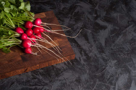 Bunch of radishes on a dark backgroundの写真素材