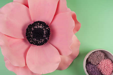 Large pink flower from EVA foam on mint color backgroundの写真素材