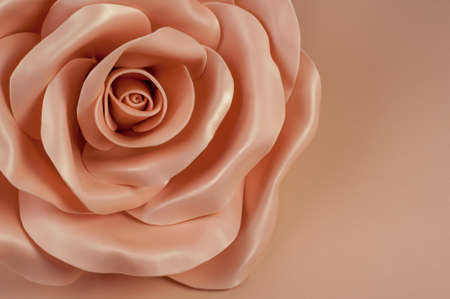 Large pink rose from EVA foam on a pink background. copy spaceの写真素材