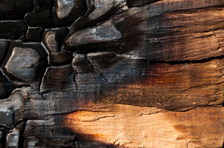 Burned Wood Texture. backgroundの写真素材