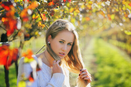 Beautiful young woman in warm light . Seasonal portraitの写真素材