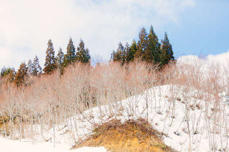 Galayuzawa Landscapeのeditorial素材
