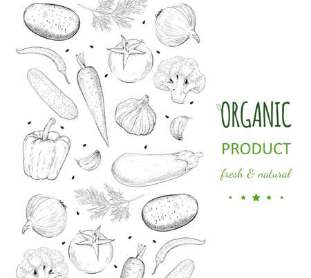 Vegetable hand drawn vintage vector illustration. farm market poster. Vegetarian set of organic products.のイラスト素材
