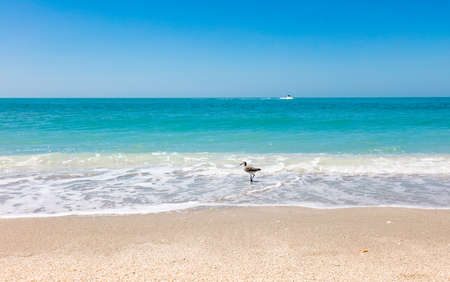 Beach and sand, water and ship, bird and blue sky, Sanibel Island, Floridaの写真素材